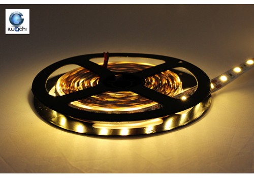 IWACHI-5050-5M-Warm White